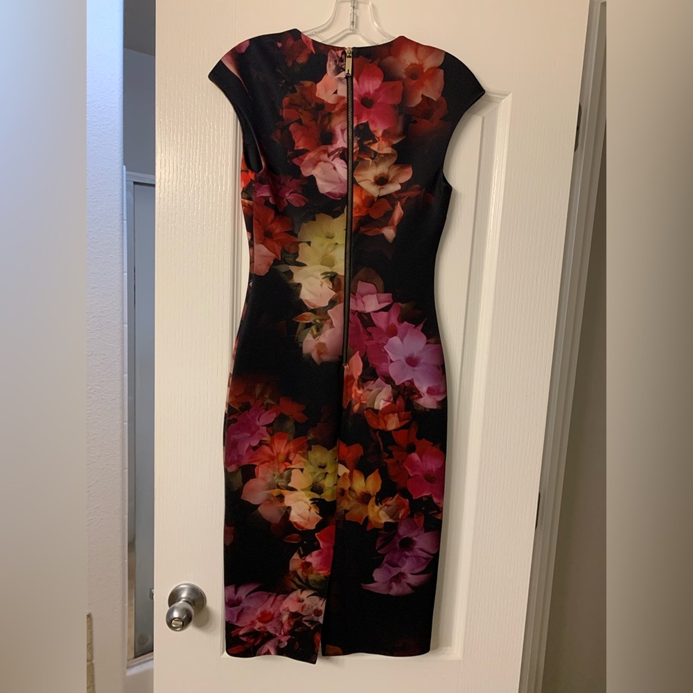Ted Baker Sheath